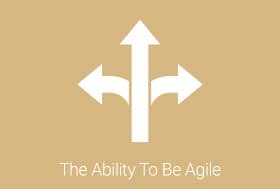 The-Ability-To-Be-Agile-Text